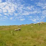 Am Koenigsmoor, 65323